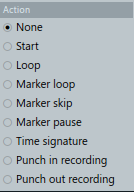 ../_images/action.png